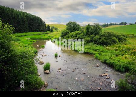 Rapide Illinkoski, fiume Uskelanjoki a Pertteli, Salo, Finlandia, visto dal ponte Illinkoski in un giorno di luglio. Foto Stock