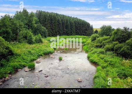 Rapide di Illinkoski, fiume Uskelanjoki a Pertteli, Salo, Finlandia, visto dal ponte Illinkoski in un bellissimo giorno di luglio. Foto Stock