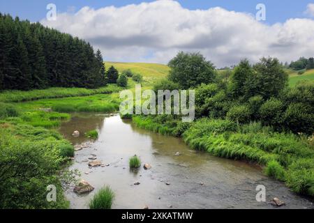 Rapide di Illinkoski, fiume Uskelanjoki a Pertteli, Salo, Finlandia, visto dal ponte Illinkoski in una splendida giornata di metà luglio. Foto Stock