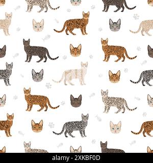 Struttura senza cuciture Bengala Cat. Set di colori per tutti i rivestimenti. Infografica sulle caratteristiche di tutte le razze di gatto. Illustrazione vettoriale Illustrazione Vettoriale