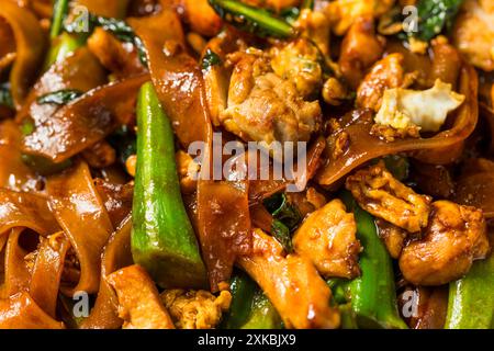 Salato cuscinetto asiatico ammira gli spaghetti alle erbe con pollo e broccoli Foto Stock