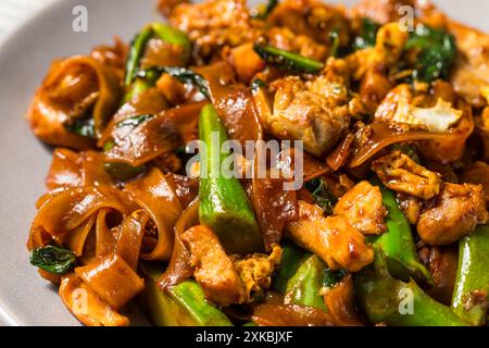 Salato cuscinetto asiatico ammira gli spaghetti alle erbe con pollo e broccoli Foto Stock