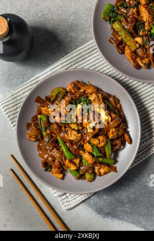 Salato cuscinetto asiatico ammira gli spaghetti alle erbe con pollo e broccoli Foto Stock