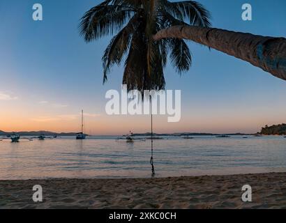 Una palma sovrasta una spiaggia sabbiosa con acqua calma, barche in lontananza e un'altalena di corda appesa all'albero. Foto Stock