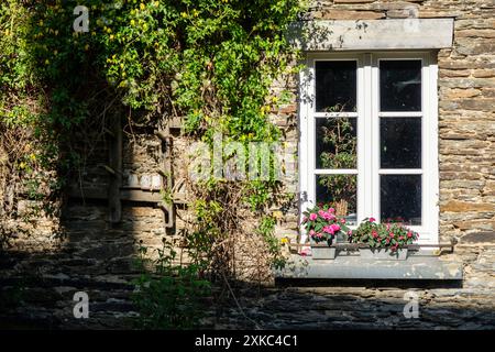 Nel bosco tra Cugnon e Auby-sur-Semois, l'oratorio di Saint-Remacle comprende tre grotte scolpite nella parete rocciosa che si affaccia sul Semois-Ki Foto Stock