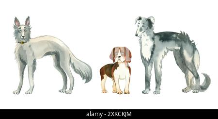 Serie di illustrazioni ad acquerello. Animali domestici, cani di diverse razze, beagle, levrieri, levrieri russi. Tutti gli oggetti sono dipinti a mano con acquerelli. Foto Stock