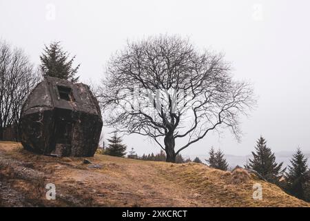 Torretta di cannoni dell'era della seconda guerra mondiale a Herdla Bird Preserve, Askøy, Norvegia. La riserva fu fondata in un ex aeroporto costruito dalla Luftwaffe nella Norvegia occupata. Foto Stock