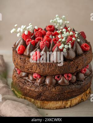 Torta al cioccolato con lamponi su un tavolo di legno. Arredato splendidamente. Foto Stock