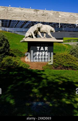 Una statua di un paio di tigri dai denti a sciabola accoglie i visitatori al la Brea Tar Pits Museum di Los Angeles, California Foto Stock
