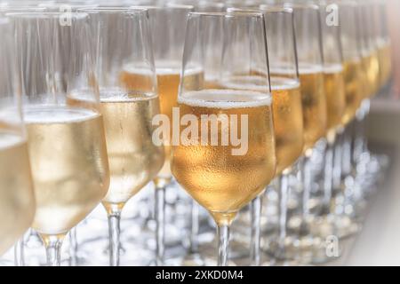 Una fila di bicchieri pieni di champagne sono pronti per essere serviti Foto Stock