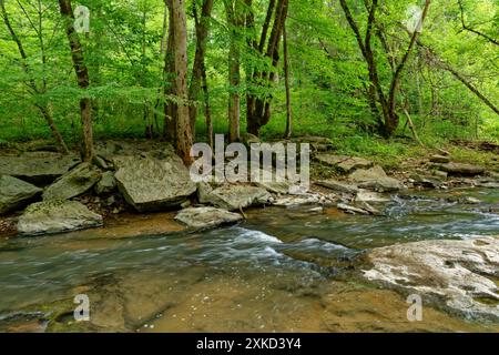 In piedi nelle acque poco profonde e limpide del torrente Flat in Tennessee che scorre nelle cascate lunga esposizione delle acque bianche che attraversano l'interesse Foto Stock