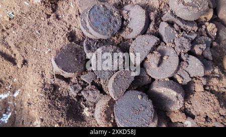 I grumi di caffè e i fondi di caffè vengono raccolti in contenitori dopo che il caffè è stato frantumato e preparato bevande per i clienti, raccolti per l'uso nella fertilizzazione Foto Stock