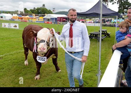 Builth Wells, Galles, Regno Unito, 22 luglio 2024. Un uomo guida il suo toro vincitore della competizione che si terrà al Royal Welsh Show, aperto oggi. L'evento, che è la più grande fiera agricola del Regno Unito, celebra il suo 120° anno. G.P. Essex/Alamy Live News Foto Stock