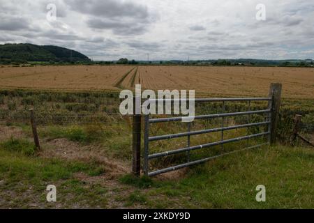 Terreni agricoli vicino a Mordiford, Herefordshire, Inghilterra, Regno Unito Foto Stock