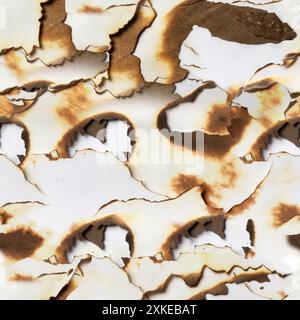 Superficie del motivo della carta bruciata con una texture fotografica 4K senza cuciture. Foto Stock