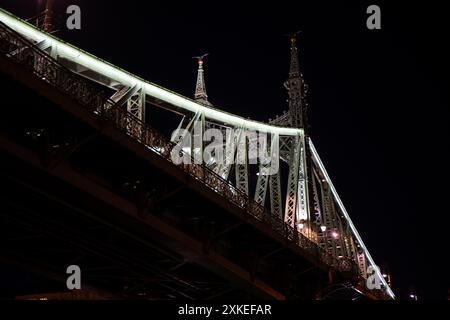 Il Ponte della libertà a Budapest di notte Foto Stock