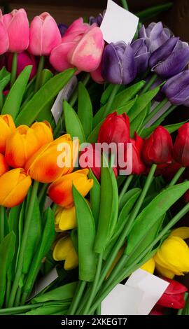 Arte floreale fatta di colorati Rose artificiali in vista Foto Stock