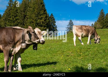 Bellissima escursione lungo il lago Rottachsee con sentiero di burroni fino alle rovine di Burgkranzegg nella regione di Allgau Foto Stock