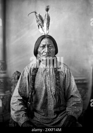 Bismarck, Dakota Territory, c 1883 Un ritratto del capo Toro seduto scattato dal fotografo David F Barry . Foto Stock