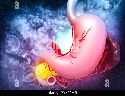 Anatomia dello stomaco umano. illustrazione 3d. Foto Stock