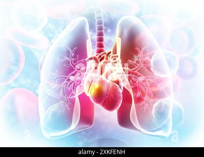 Polmoni, anatomia del cuore su sfondo scientifico. illustrazione 3d. Foto Stock