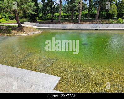 Incarnazione moderna del giardino giapponese a Park Slaski, Chorzów, Polonia, in una giornata di sole dell'estate 2024. Foto Stock