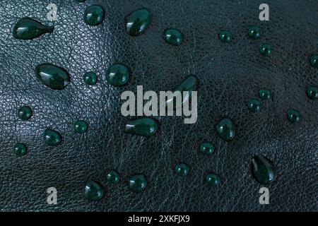 Gocce d'acqua rotonde su pelle nera/verde, vista laterale, motivo macro con messa a fuoco morbida Foto Stock