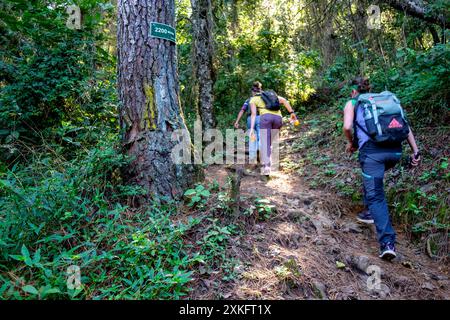 ascensione al vulcano San Pedro 3020 m. parco ecologico del vulcano San Pedro, lago di Atitlán, dipartimento di Sololá , Repubblica del Guatemala, America centrale. Foto Stock