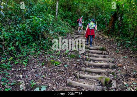 ascensione al vulcano San Pedro 3020 m. parco ecologico del vulcano San Pedro, lago di Atitlán, dipartimento di Sololá , Repubblica del Guatemala, America centrale. Foto Stock
