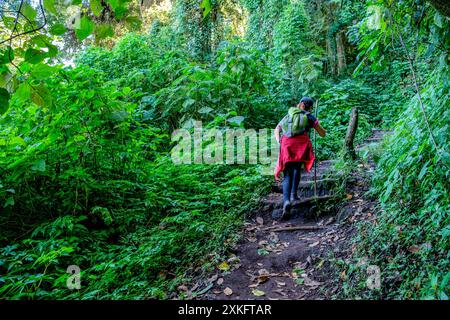 ascensione al vulcano San Pedro 3020 m. parco ecologico del vulcano San Pedro, lago di Atitlán, dipartimento di Sololá , Repubblica del Guatemala, America centrale. Foto Stock