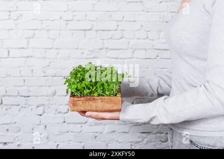 Home Mini-giardinaggio: Donna e la sua passione verde Foto Stock