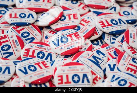 Un primo piano di numerosi pulsanti di "voto" che promuovono le elezioni presidenziali degli Stati Uniti d'America, sottolineando il dovere civico e la partecipazione al 3D. Foto Stock