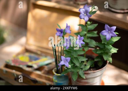 Angolo dell'artista con fiori viola Foto Stock