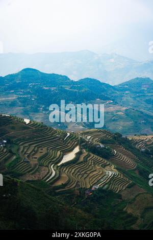 Campi con vista nel nord del Vietnam Foto Stock