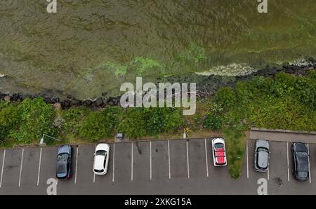 Vista generale delle concentrazioni di alghe Blue Green sulle rive del Lough Neagh nel Co Antrim. Data foto: Martedì 23 luglio 2024. Foto Stock