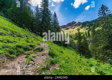 Tour in montagna sul Brunnenauscharte fino all'Hochgrat sul Nagelfluhkette nell'Allgau Foto Stock