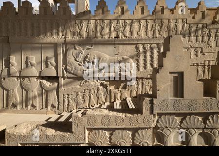 Sculture in rilievo di un leone che caccia un toro accanto a soldati in rilievo su una delle scale a Persepoli, l'antica capitale persiana vicino a Shiraz, Iran Foto Stock