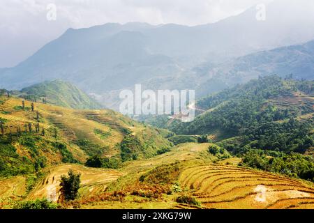 Campi di riso terrazzati sugli altopiani di sa Pa, Vietnam Foto Stock