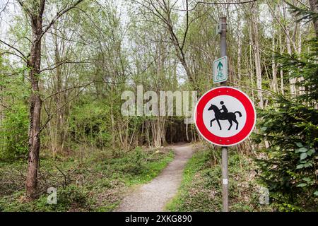 Nessun cartello sul sentiero della foresta, Germania Foto Stock