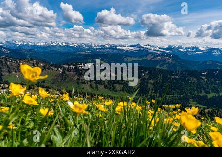 Tour in montagna sul Brunnenauscharte fino all'Hochgrat sul Nagelfluhkette nell'Allgau Foto Stock