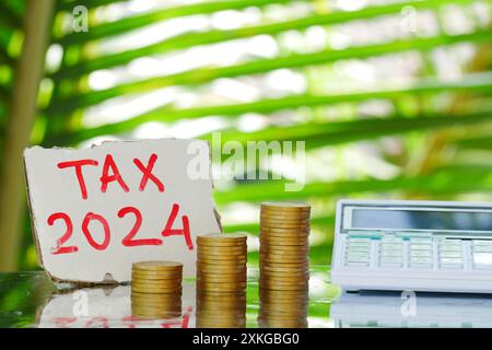 Blocchi di legno con l'iscrizione Tax 2024, monete, calcolatrice e laptop sullo sfondo Foto Stock