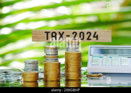 Blocchi di legno con l'iscrizione Tax 2024, monete, calcolatrice e laptop sullo sfondo Foto Stock