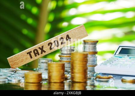 Blocchi di legno con l'iscrizione Tax 2024, monete, calcolatrice e laptop sullo sfondo Foto Stock