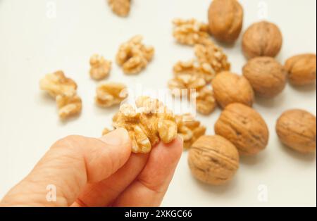 noci con e senza guscio, tenute per mano su sfondo bianco Foto Stock