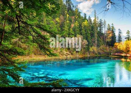 La piscina a cinque colori con acqua azzurra tra i boschi Foto Stock