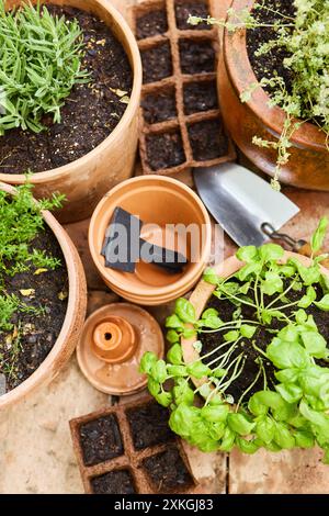 Attrezzi da giardinaggio, pentole ed erbe fresche come basilico, origano e rosmarino in un giardino di casa. Perfetto per gli amanti del giardinaggio e del groto di erbe Foto Stock