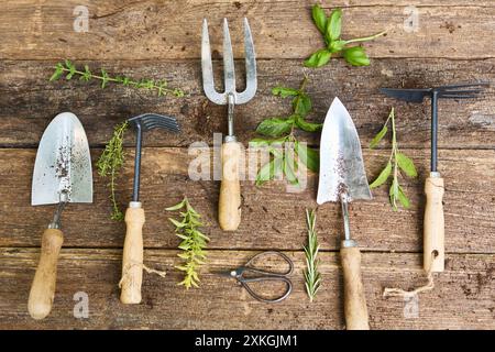 Una varietà di attrezzi da giardinaggio disposti con erbe fresche su uno sfondo rustico in legno. Immagine ideale per temi di giardinaggio, semina e raccolta. Foto Stock