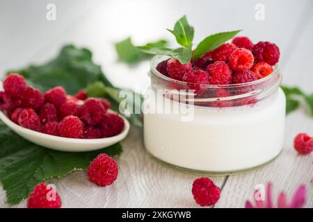 cibo fatto in casa, yogurt al latte con lamponi freschi. Foto Stock