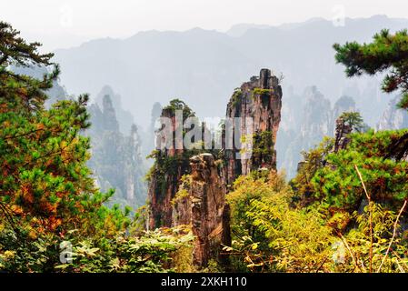 Vista delle incredibili colonne di pietra arenaria al quarzo (Monti Avatar) Foto Stock