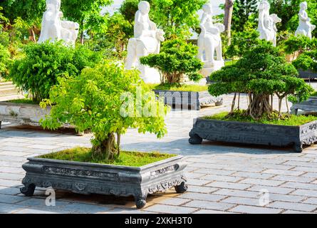 Alberi di Bonsai verdi che crescono nel cortile della Pagoda Linh Ung Foto Stock